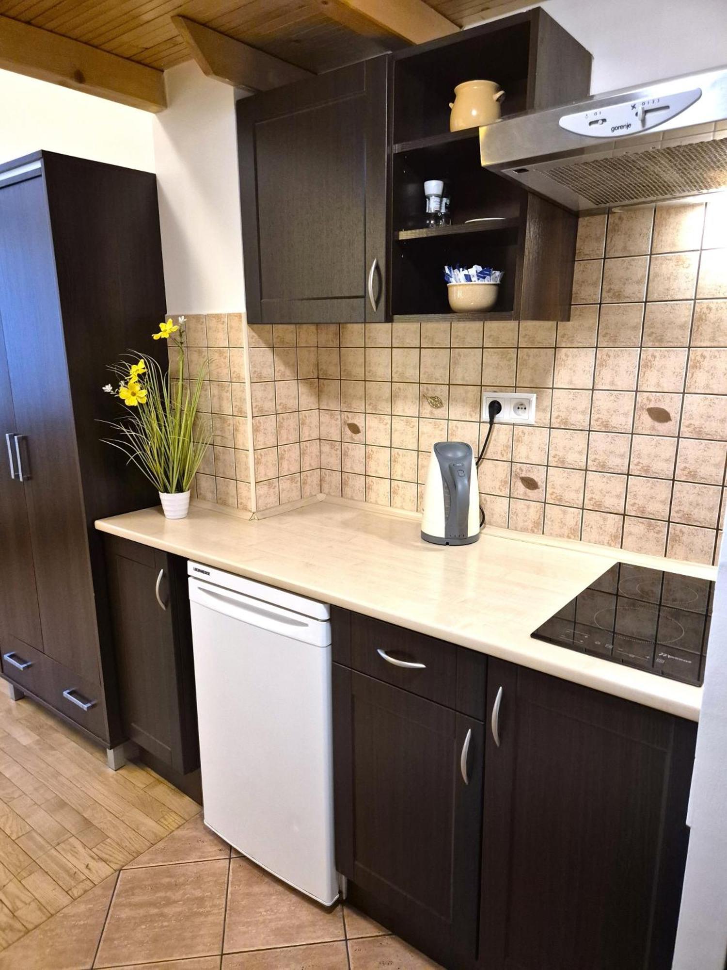 Safona - Pantheon Apartments Cracovie Extérieur photo